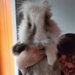 FLUFFY